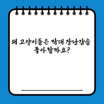 75a36a0a80a042fa79e9bcd174901816.jpg