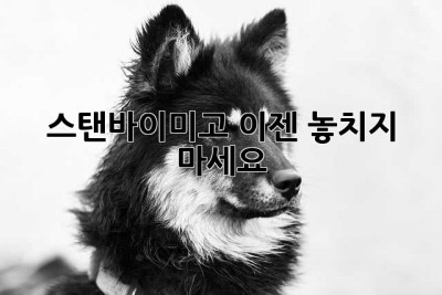 스탠바이미고? 이젠 놓치지 마세요! ✨