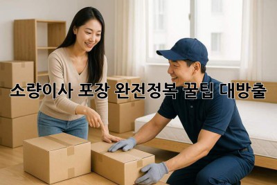소량이사📦 포장 완전정복! 꿀팁 대방출🍯