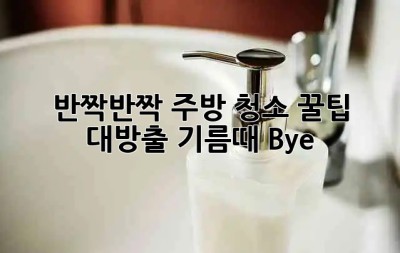 ✨반짝반짝✨ 주방 청소 꿀팁 대방출! 기름때 Bye~