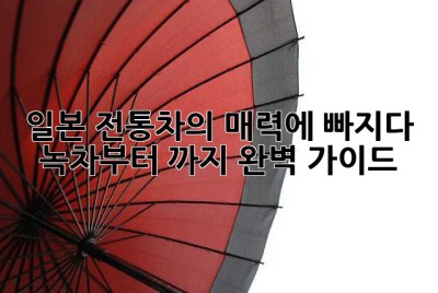 일본 전통차의 매력에 빠지다: 녹차부터 ほうじ茶까지 완벽 가이드