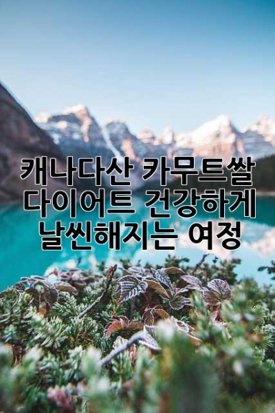 캐나다산 카무트쌀 다이어트: 건강하게 날씬해지는 여정