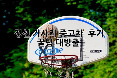 정선 가사리 중고차 🚗💨 후기: 꿀팁 대방출!