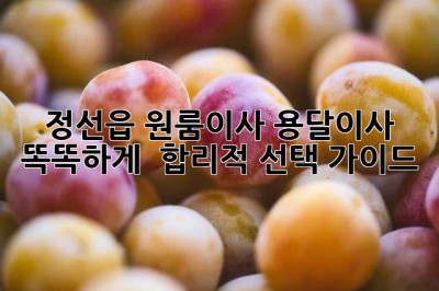 정선읍 원룸이사, 용달이사 똑똑하게! 📦🚚 합리적 선택 가이드
