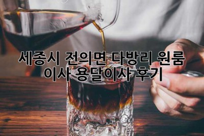 세종시 전의면 다방리 원룸 이사, 용달이사 후기