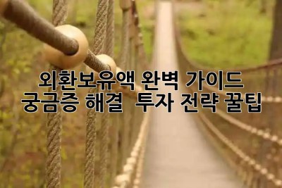 외환보유액 완벽 가이드 💰 궁금증 해결 & 투자 전략 꿀팁!