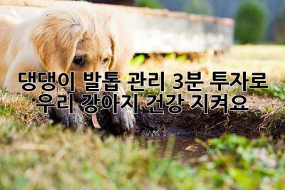 댕댕이 발톱 관리, 3분 투자로 우리 강아지 건강 지켜요!
