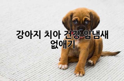 강아지 치아 건강, 입냄새 없애기🐶