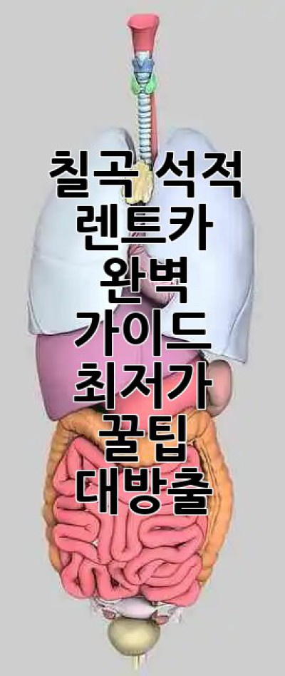 칠곡 석적 렌트카 완벽 가이드: 최저가 꿀팁 대방출! 🚗💨