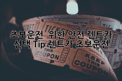 초보운전 🚗 위한 안전 렌트카 선택 Tip #렌트카 #초보운전
