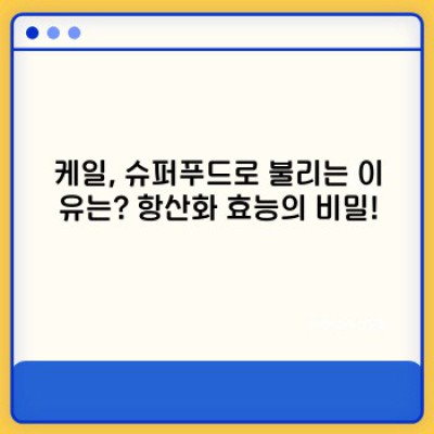 케일 항산화 효능 제대로 알고 건강 챙기자! 최신 연구결과와 섭취법까지!
